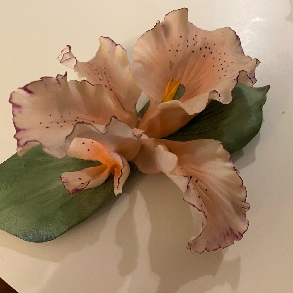 Capodimonte Fushia & Peach Iris